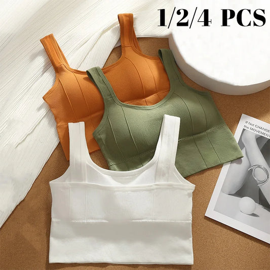 Fitness Sports Bra